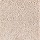 Horizon Carpet: Sharp Selection Toasted Almond